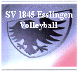 sv_1845_es_volleyball